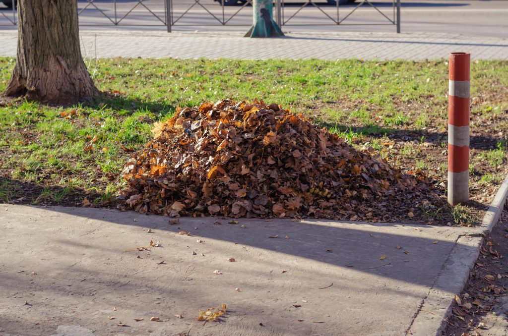 効率的な落ち葉掃除の方法