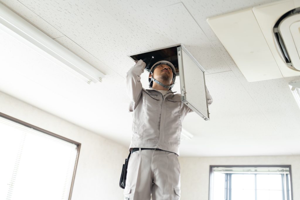 害虫と呼ばれるもの