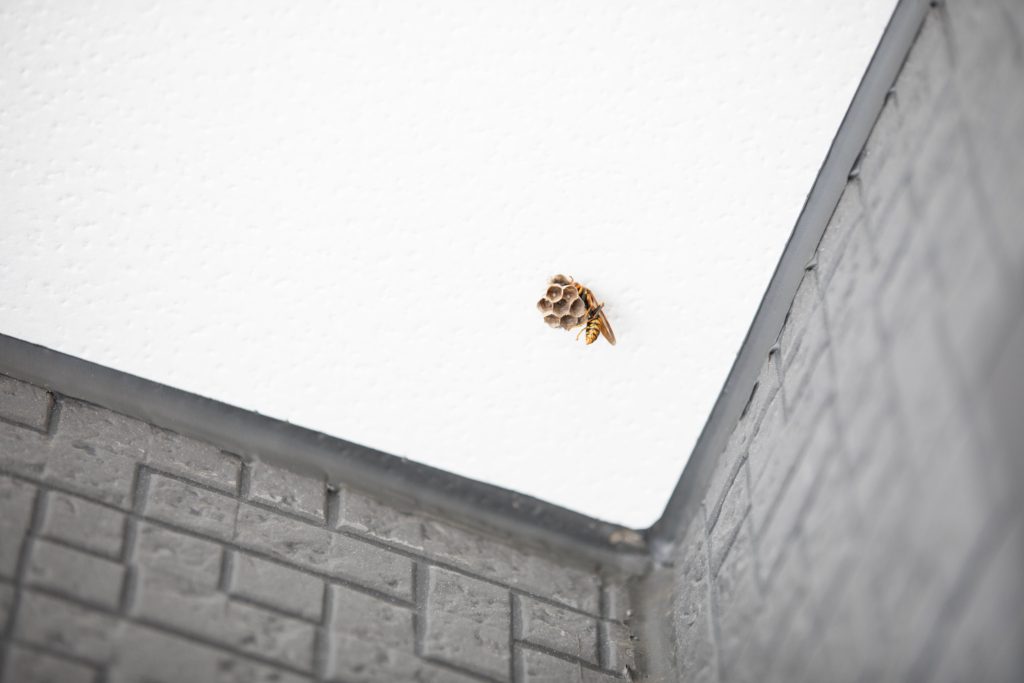 発生しやすい害虫の種類