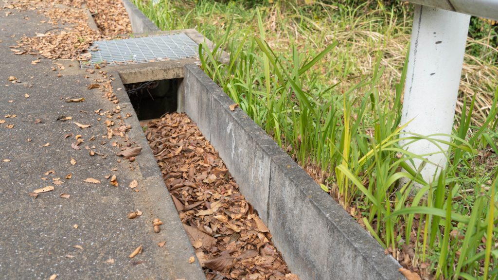 マンション周辺の落ち葉掃除が必要な理由