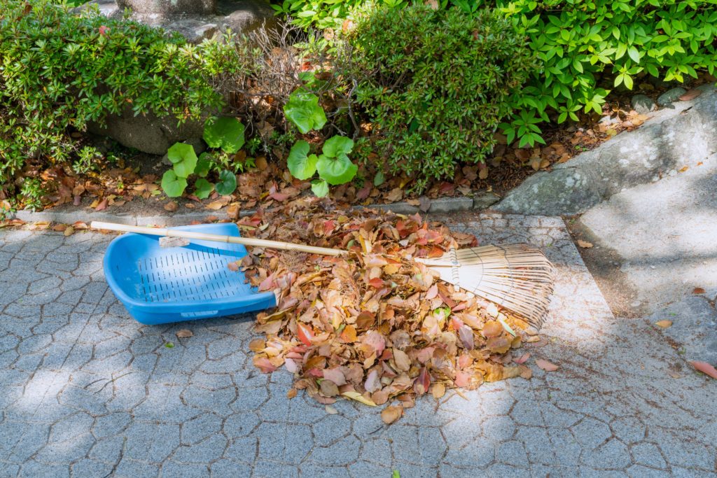 落ち葉掃除に使いたい道具と使い方