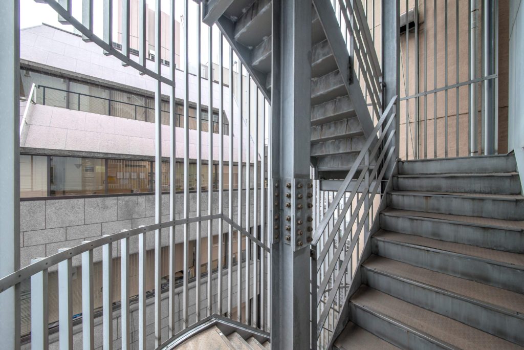 マンションの共用部でクモの巣