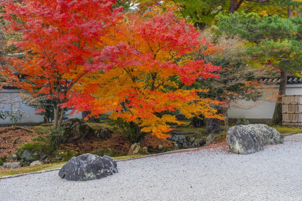 京都エリアの特色