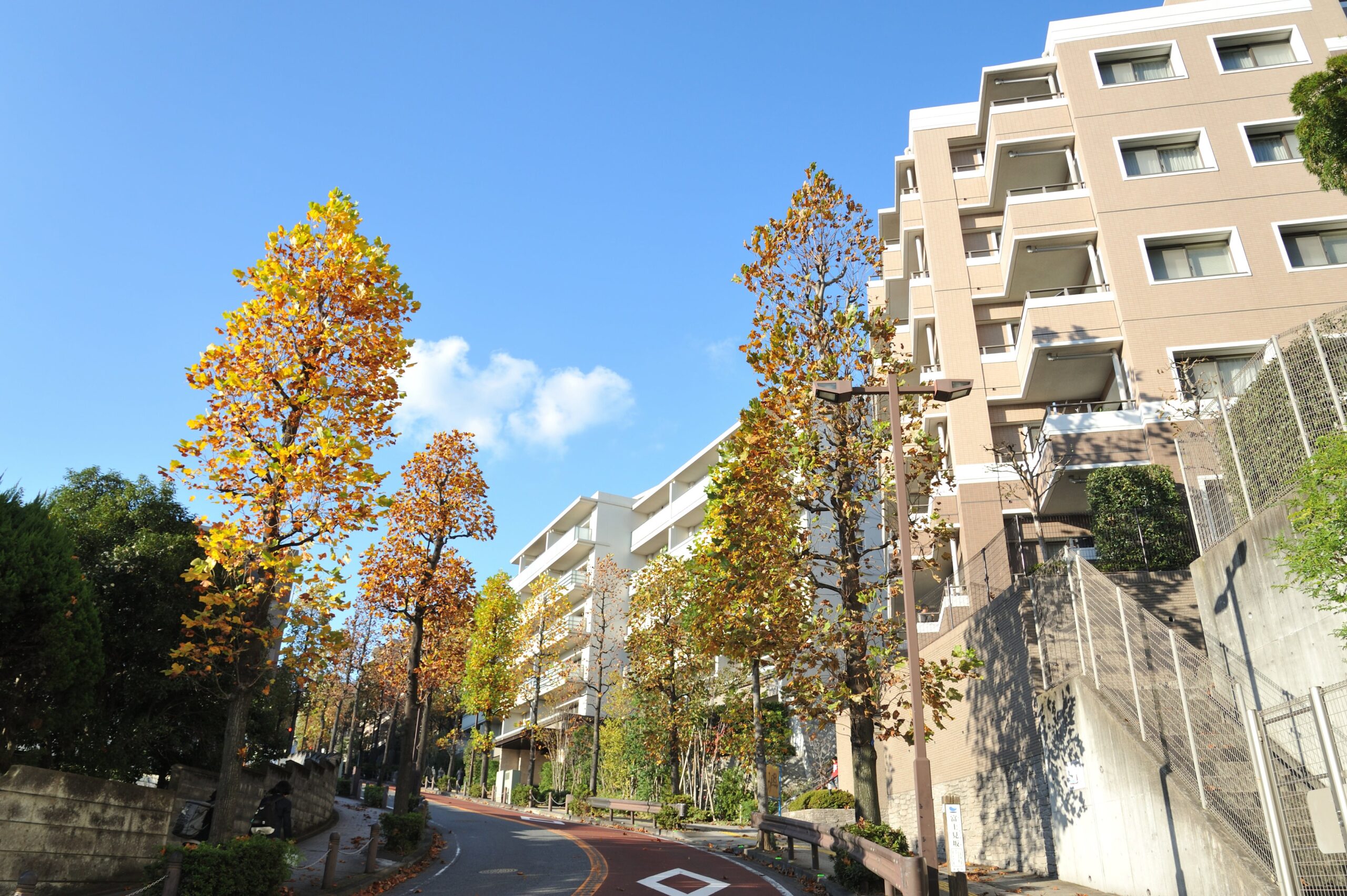 秋のマンション落ち葉・カビから共用部を守る