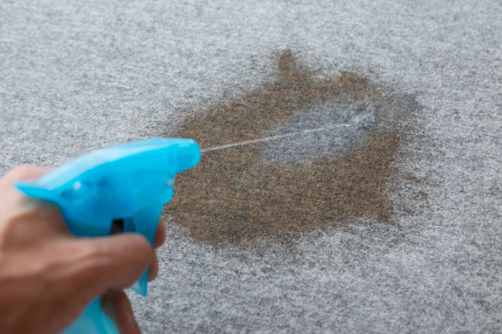 自分でできるカーペットクリーニングの手順